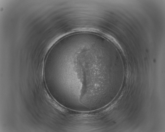 X0000084541228200703091645