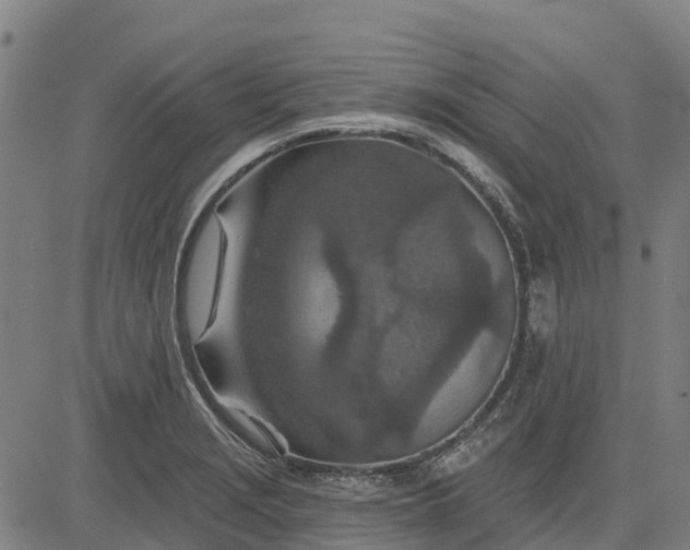 X0000084541229200703091645