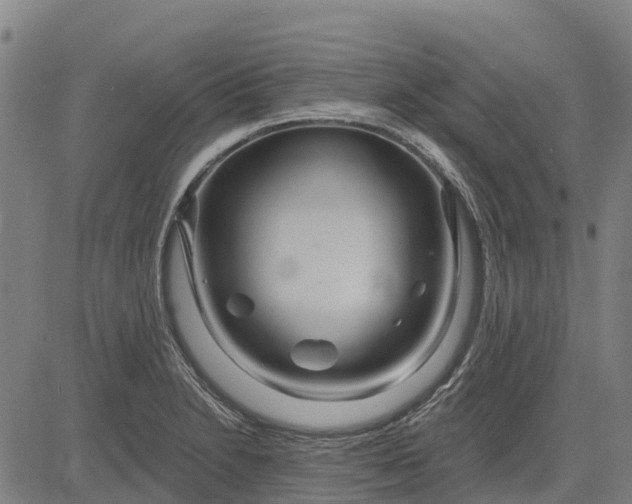 X0000084541230200703091645