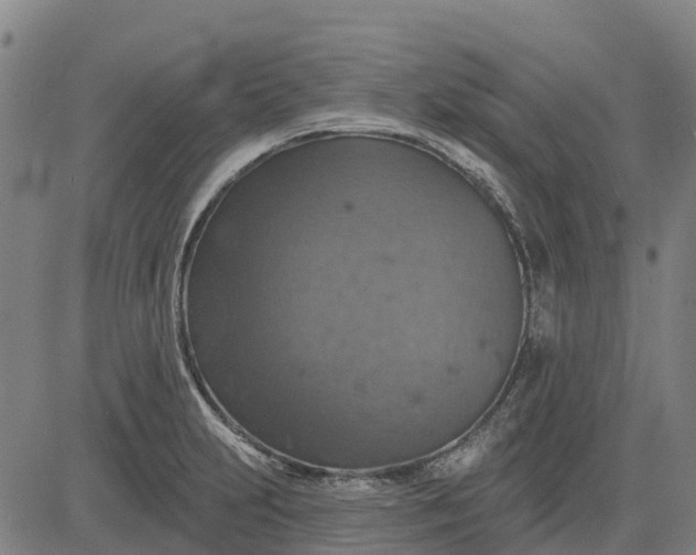 X0000084541231200703091645