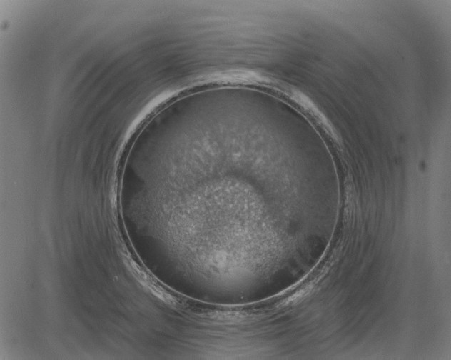 X0000084541232200703091645