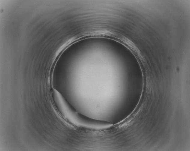 X0000084541234200703091645