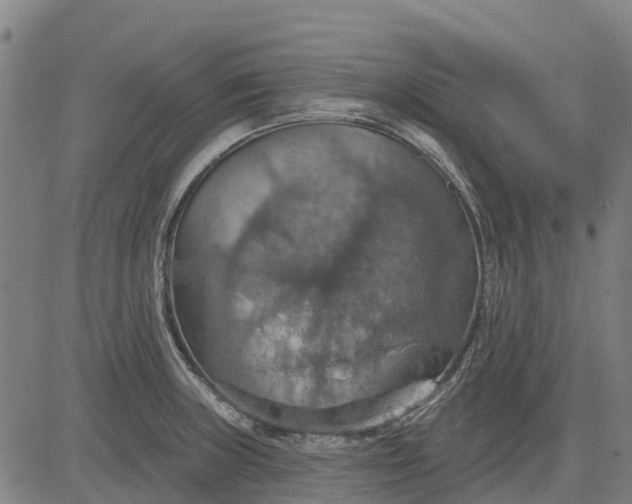 X0000084541235200703091645