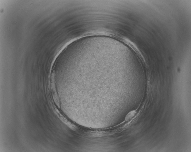 X0000084541236200703091645