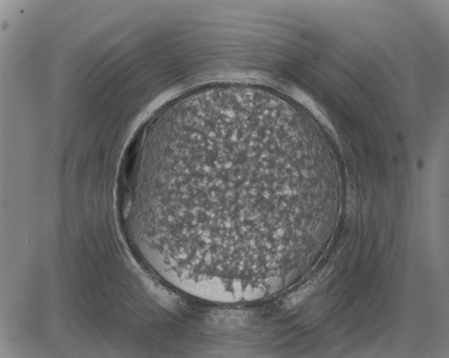 X0000084541237200703091645