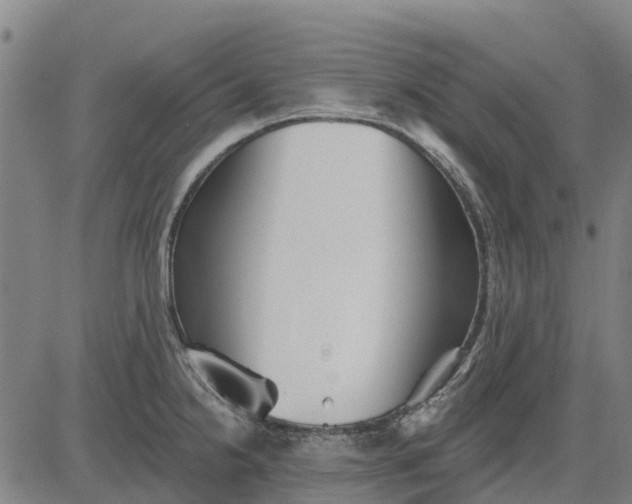 X0000084541238200703091645