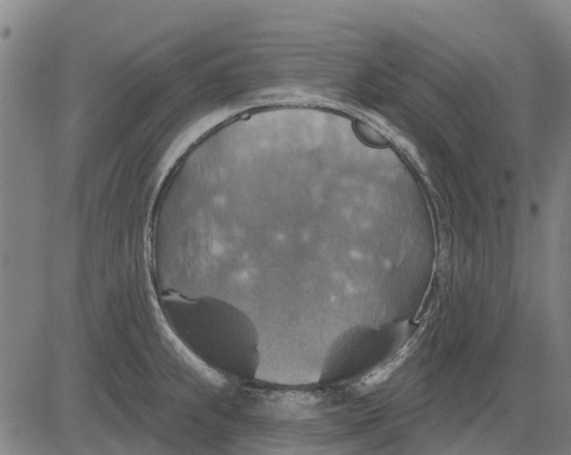 X0000084541239200703091645