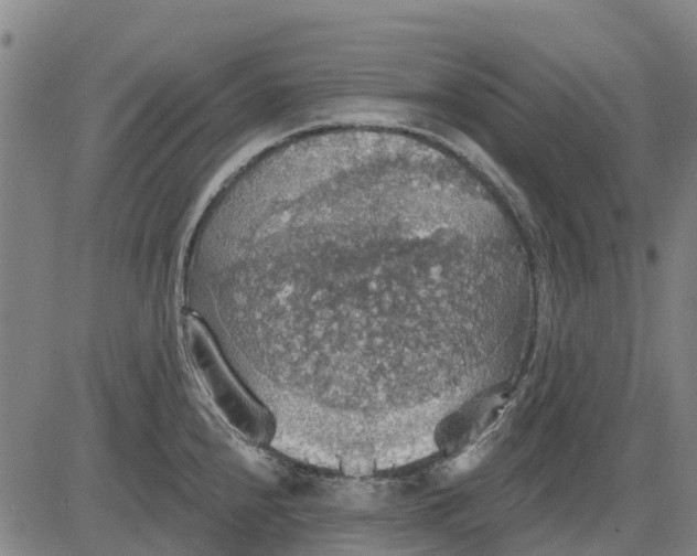 X0000084541240200703091645