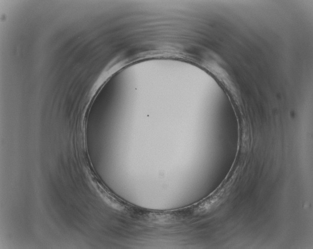 X0000084541242200703091645