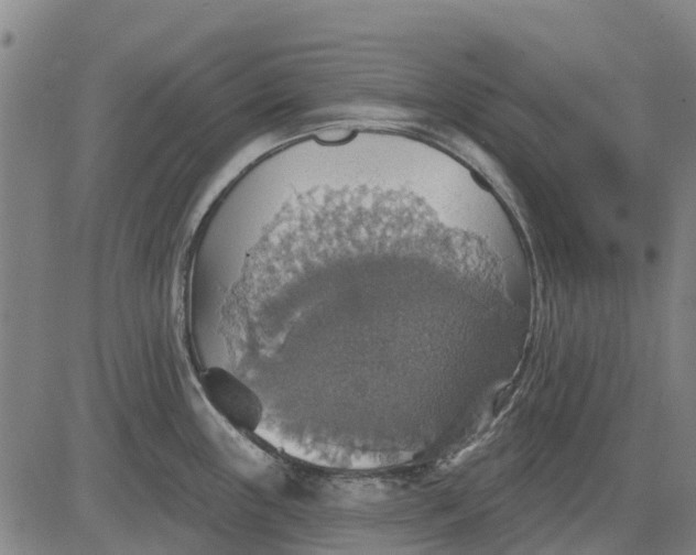 X0000084541243200703091645