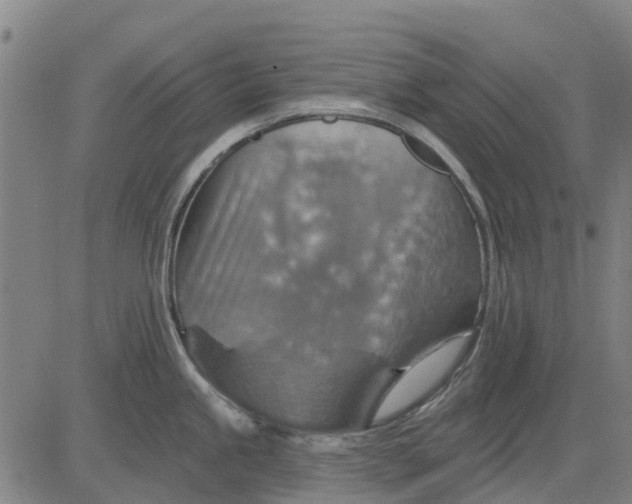 X0000084541245200703091645