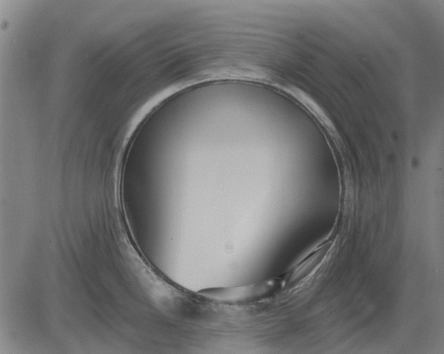 X0000084541246200703091645