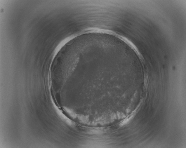 X0000084541247200703091645