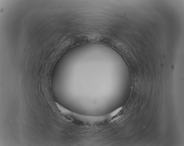 X0000084541249200703091645