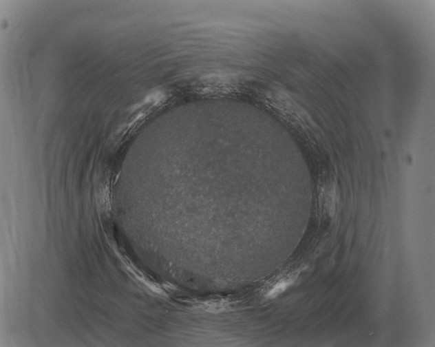 X0000084541250200703091645