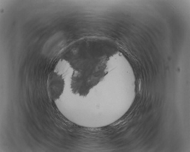 X0000084541251200703091645