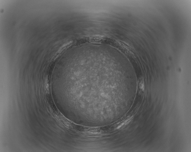 X0000084541252200703091645