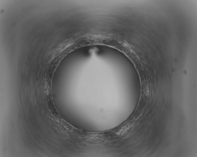 X0000084541253200703091645