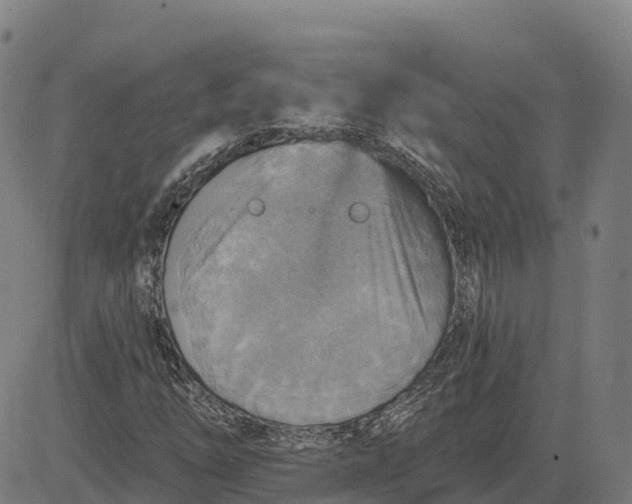 X0000084541254200703091645