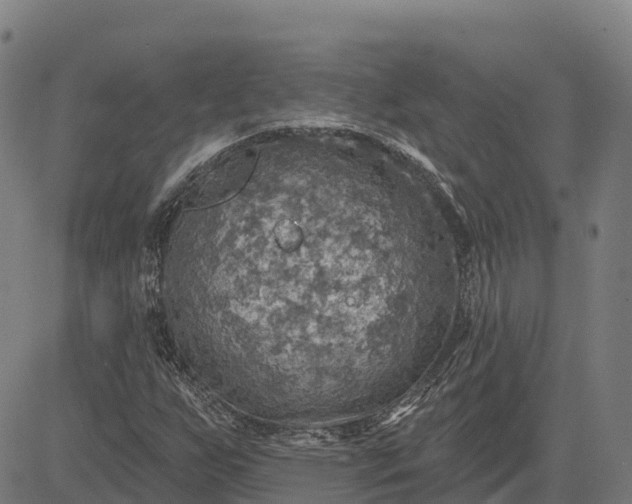 X0000084541255200703091645