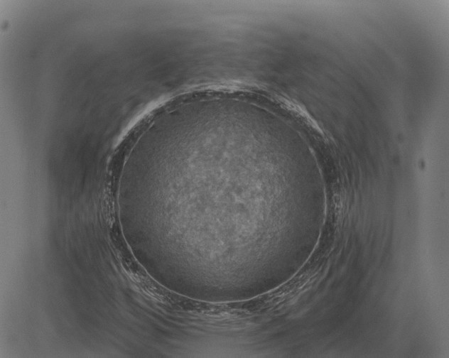 X0000084541256200703091645