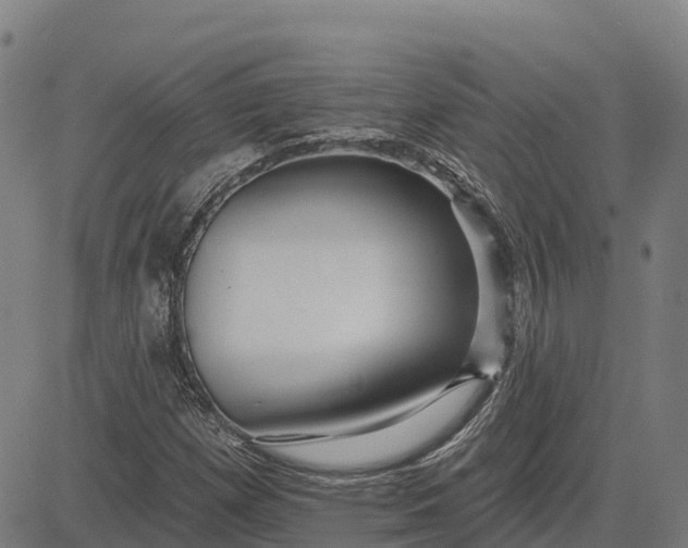 X0000084541257200703091645