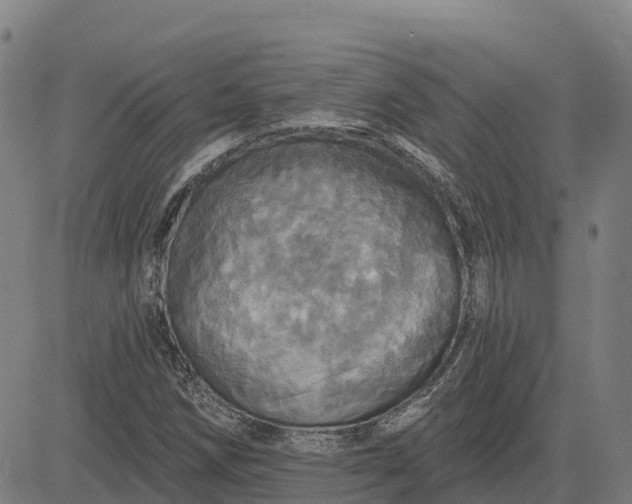 X0000084541258200703091645