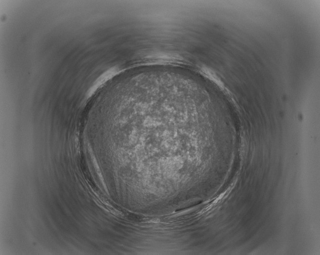 X0000084541259200703091645