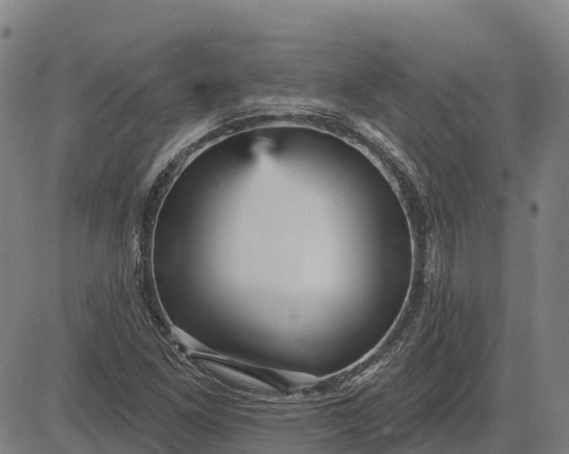 X0000084541261200703091644