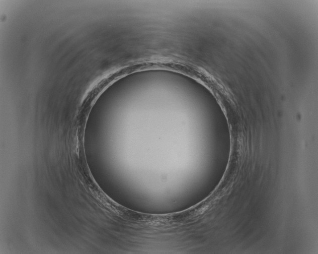 X0000084541262200703091644