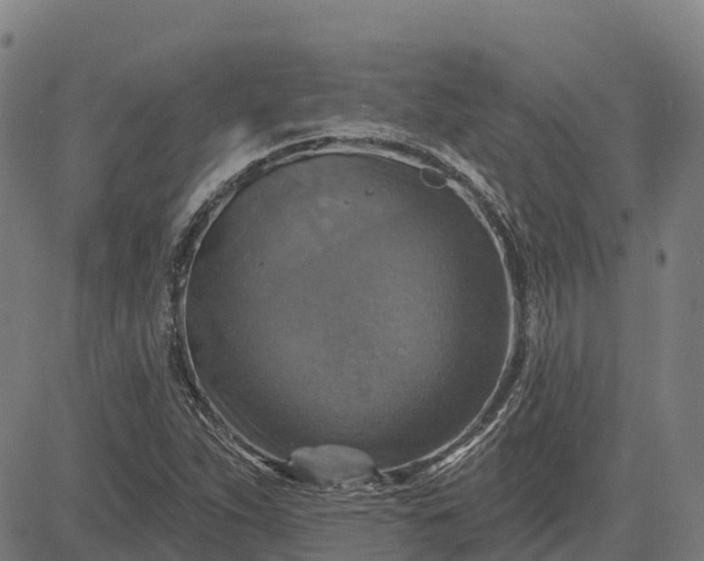 X0000084541263200703091644