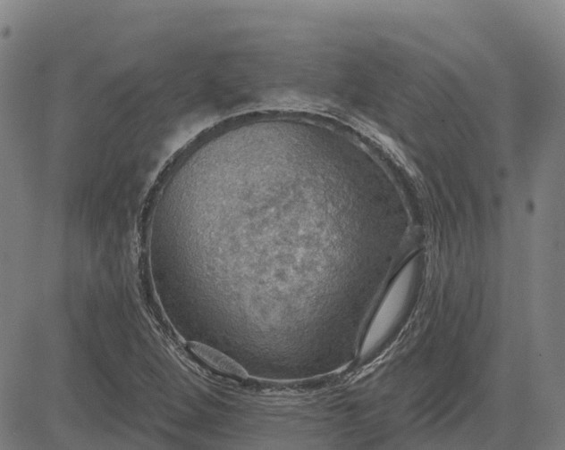 X0000084541264200703091644