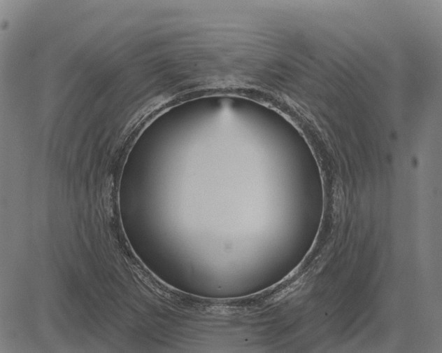 X0000084541265200703091644