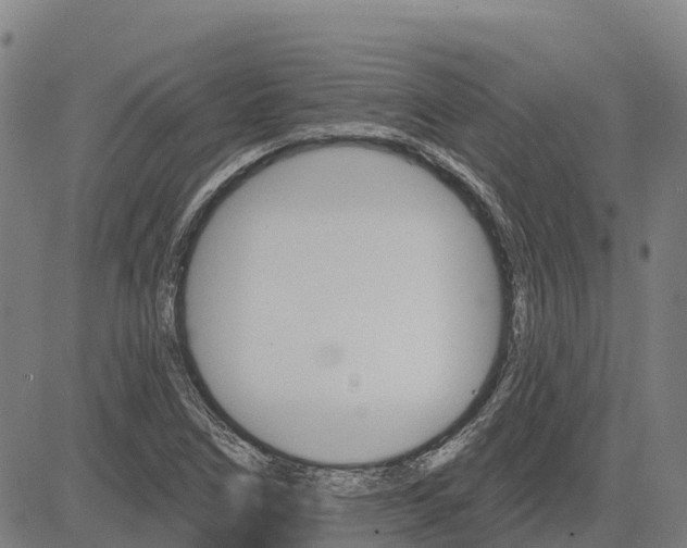 X0000084541266200703091644