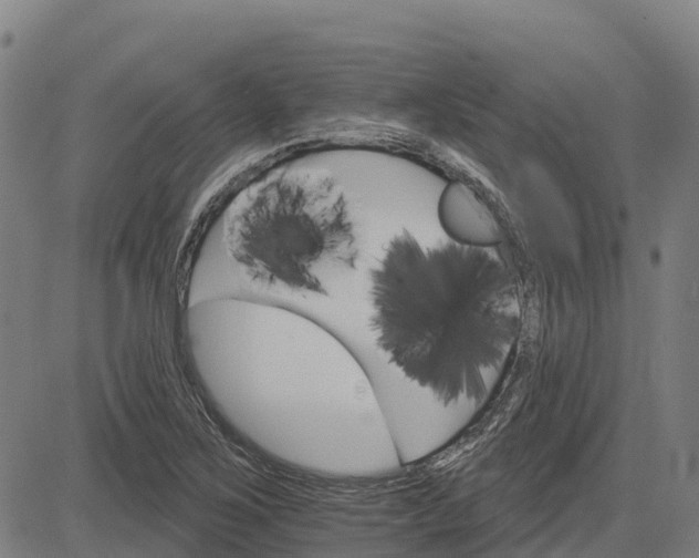 X0000084541267200703091644