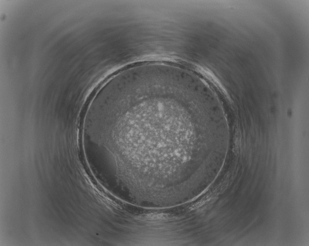 X0000084541268200703091644