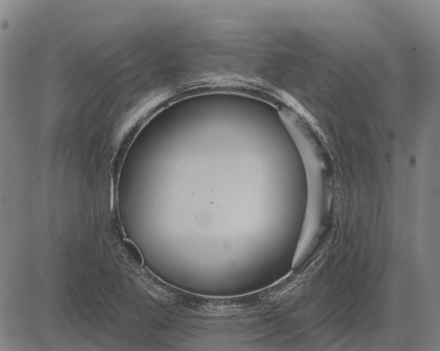 X0000084541269200703091644