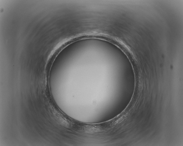 X0000084541270200703091644