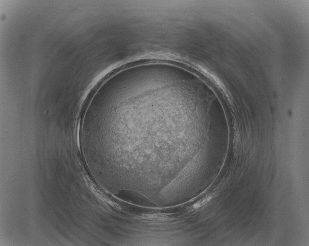 X0000084541272200703091644