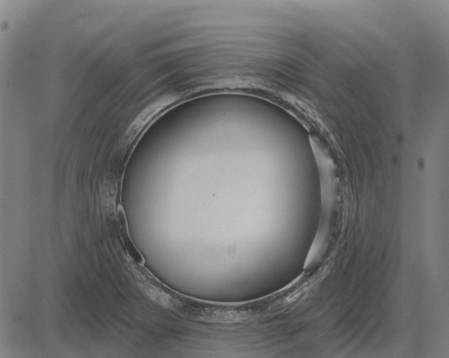 X0000084541273200703091644