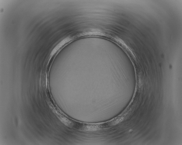 X0000084541274200703091644