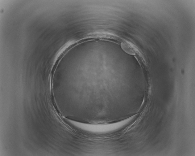 X0000084541275200703091644