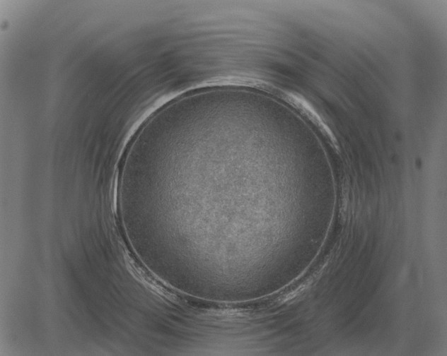 X0000084541276200703091644