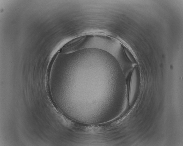 X0000084541277200703091644