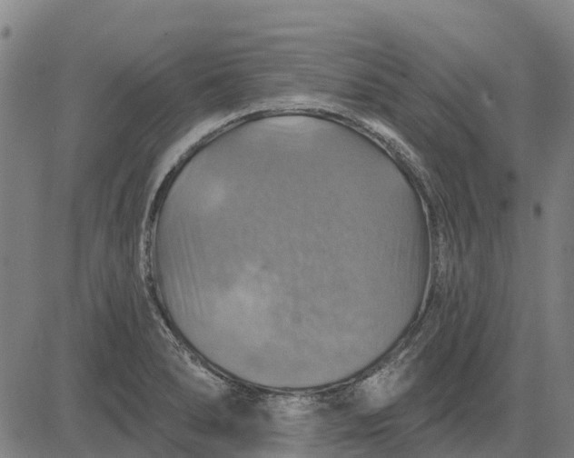 X0000084541278200703091644