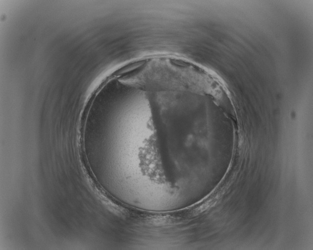 X0000084541279200703091644