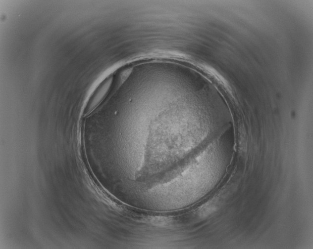 X0000084541280200703091644