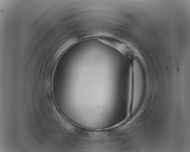 X0000084541281200703091644