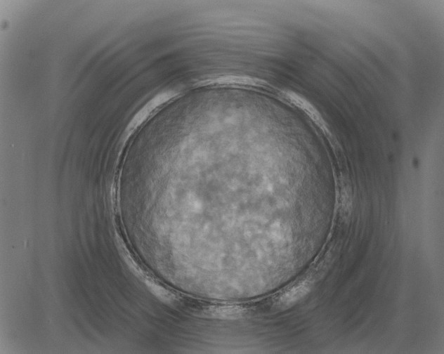 X0000084541282200703091644