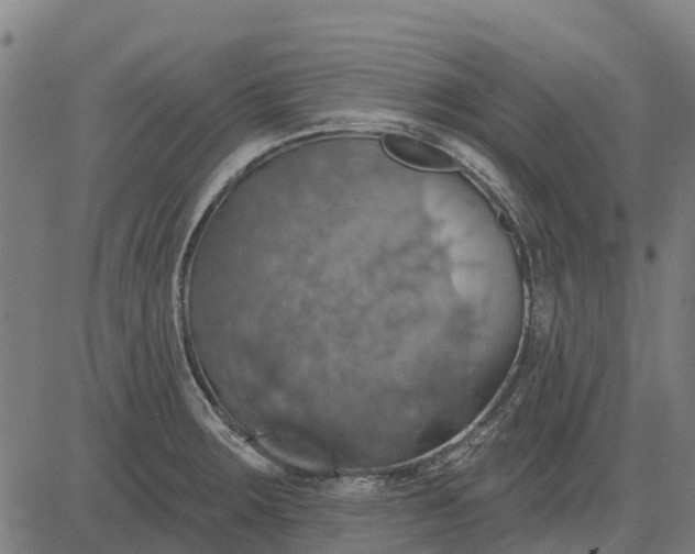 X0000084541283200703091644